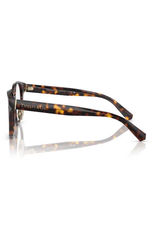 Tiffany & Co . 52mm Round Optical Glasses In Havana