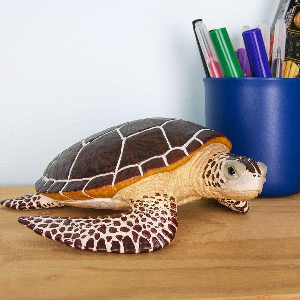 Safari Ltd. Sea Turtle Toy | Nordstrom