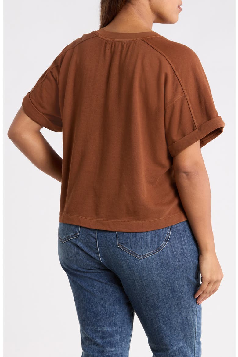 Brie Boxy Sweatshirt, Alternate, color, TAWNY