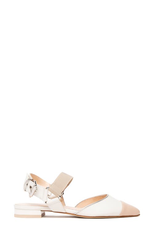 Nerogiardini Pointed Toe Flat