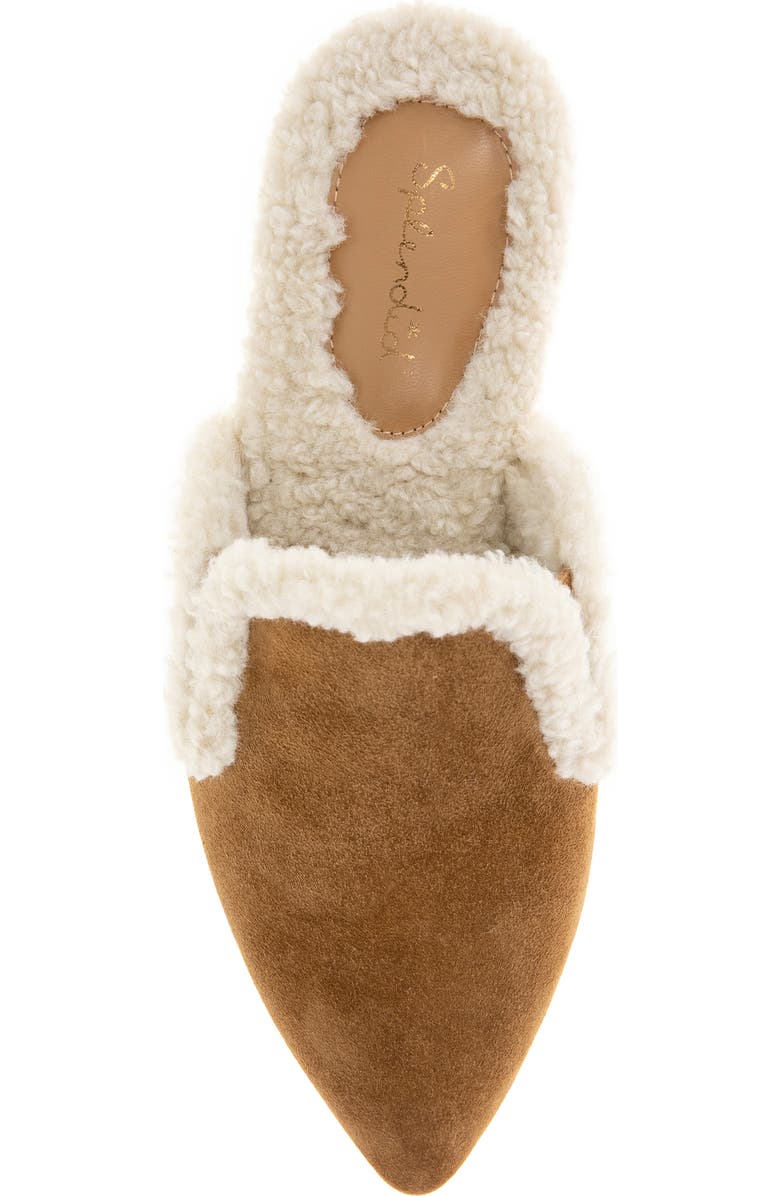 Splendid Liza Pointed Toe Mule, Alternate, color, Caramel Fur