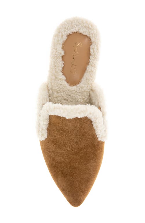 Splendid Liza Pointed Toe Mule In Brown