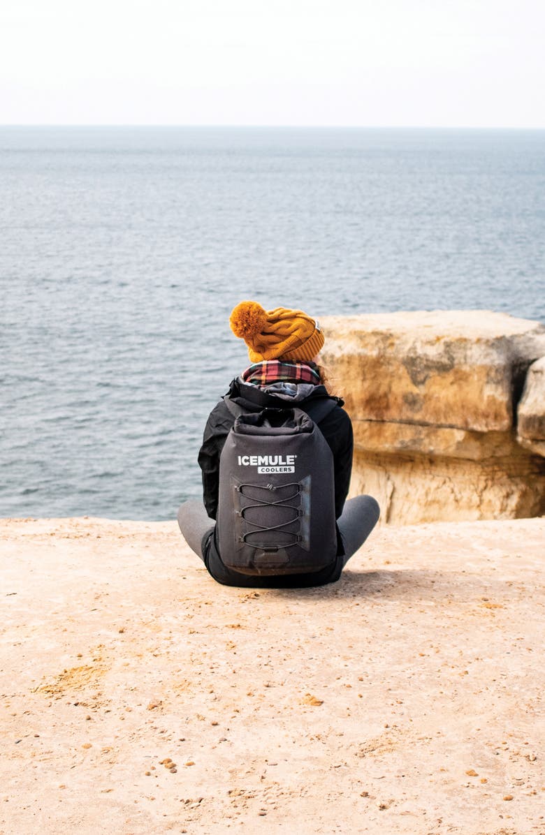 ICEMULE Pro Large Waterproof Cooler Backpack, Alternate, color, 