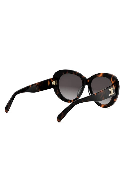 Celine Triomphe Logo Oval Acetate Sunglasses