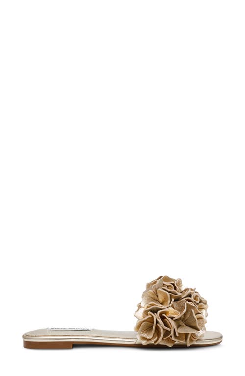 Shop Steve Madden Flo Slide Sandal In Gold