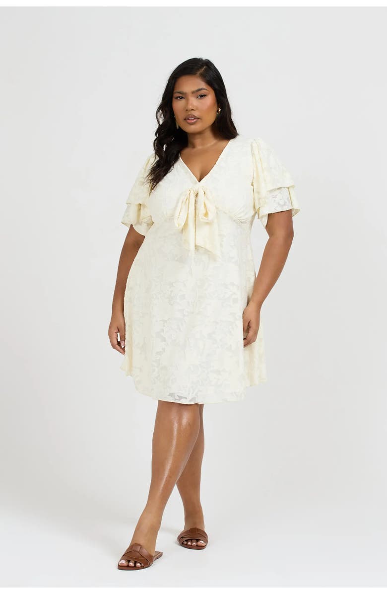 FASHION-SZN CURVE Floral Skater Dress, Main, color, 