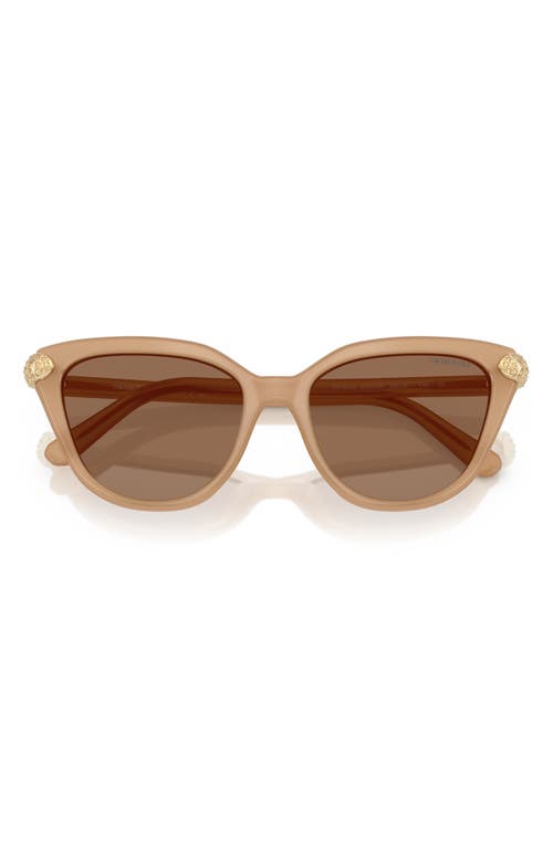 Swarovski 56mm Cat Eye Sunglasses