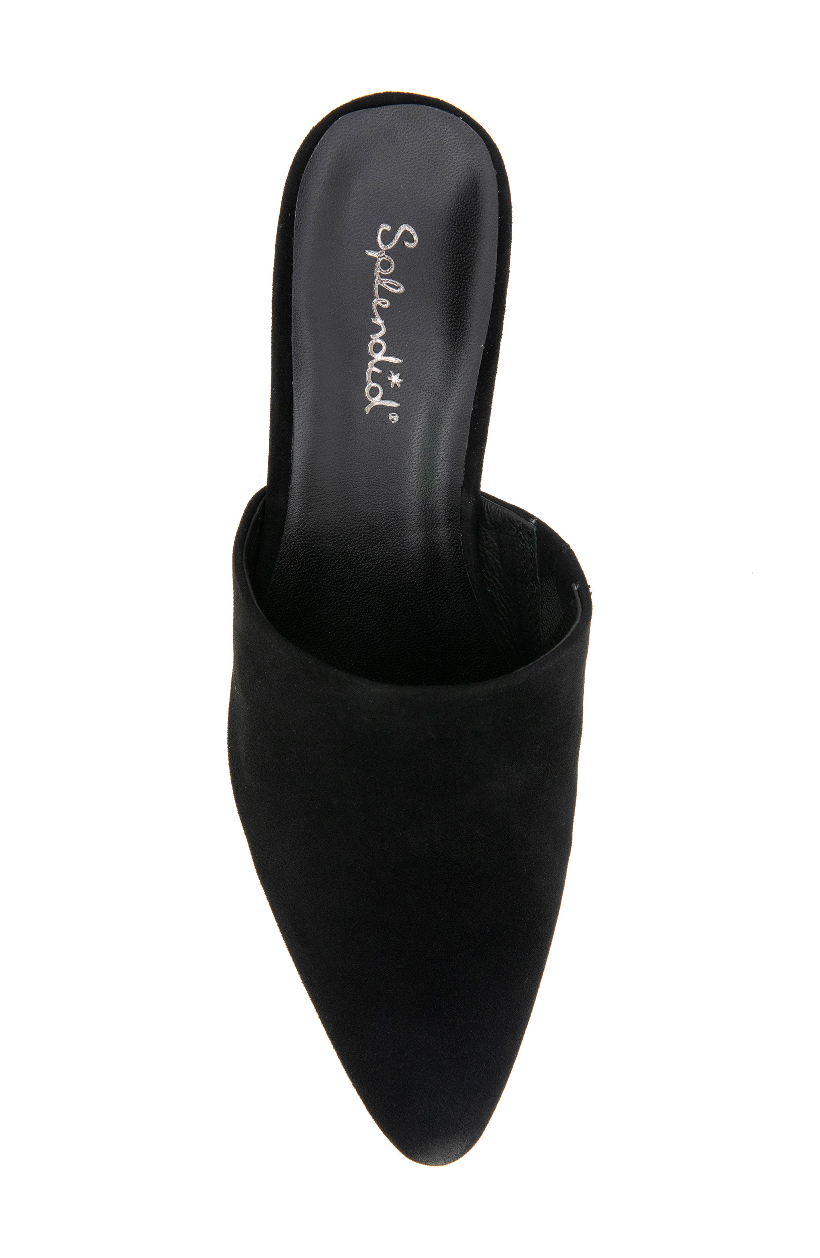 Splendid Laylai Pointed Toe Mule, Alternate, color, Black