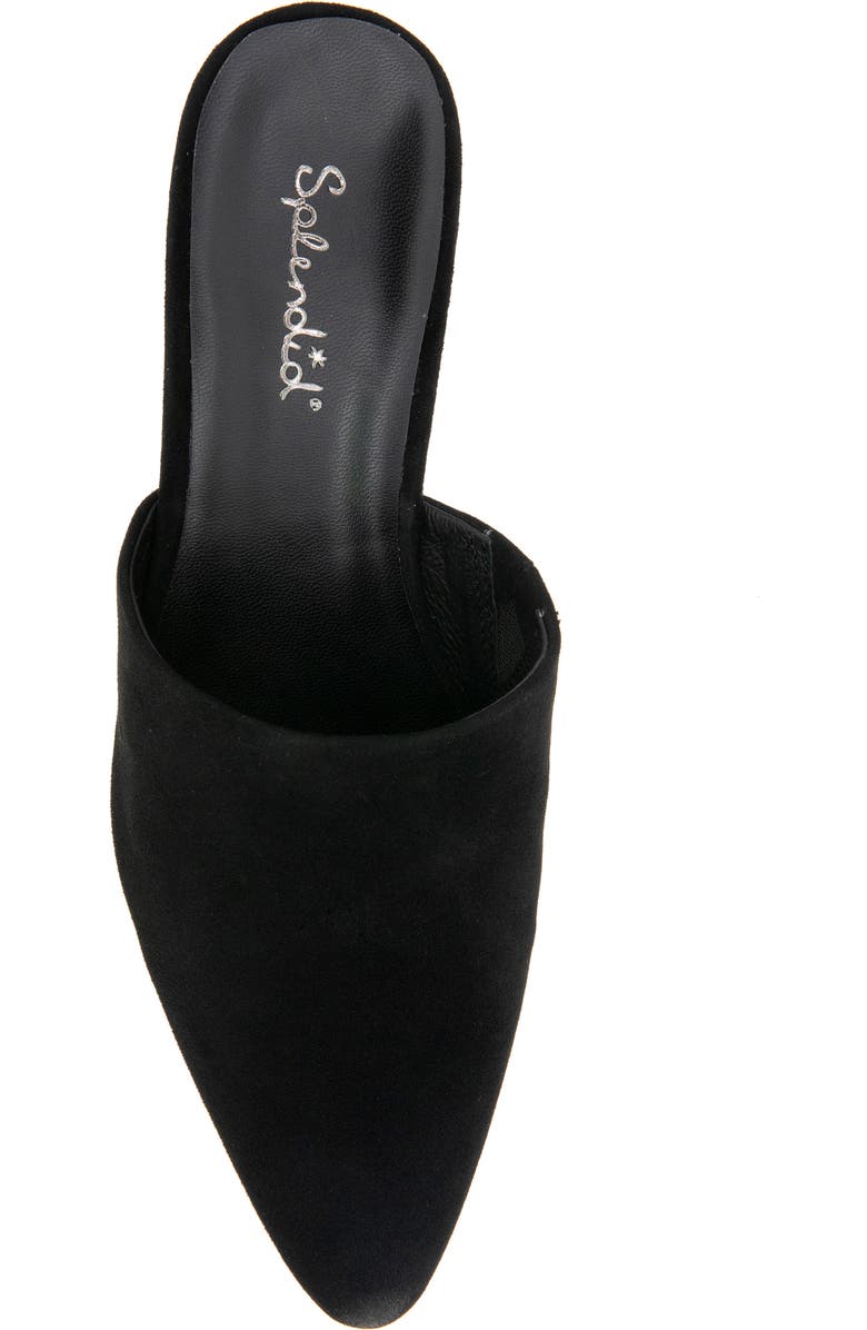 Splendid Laylai Pointed Toe Mule, Alternate, color, Black