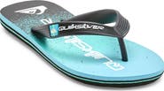 Quiksilver Molokai Art II Flip Flop