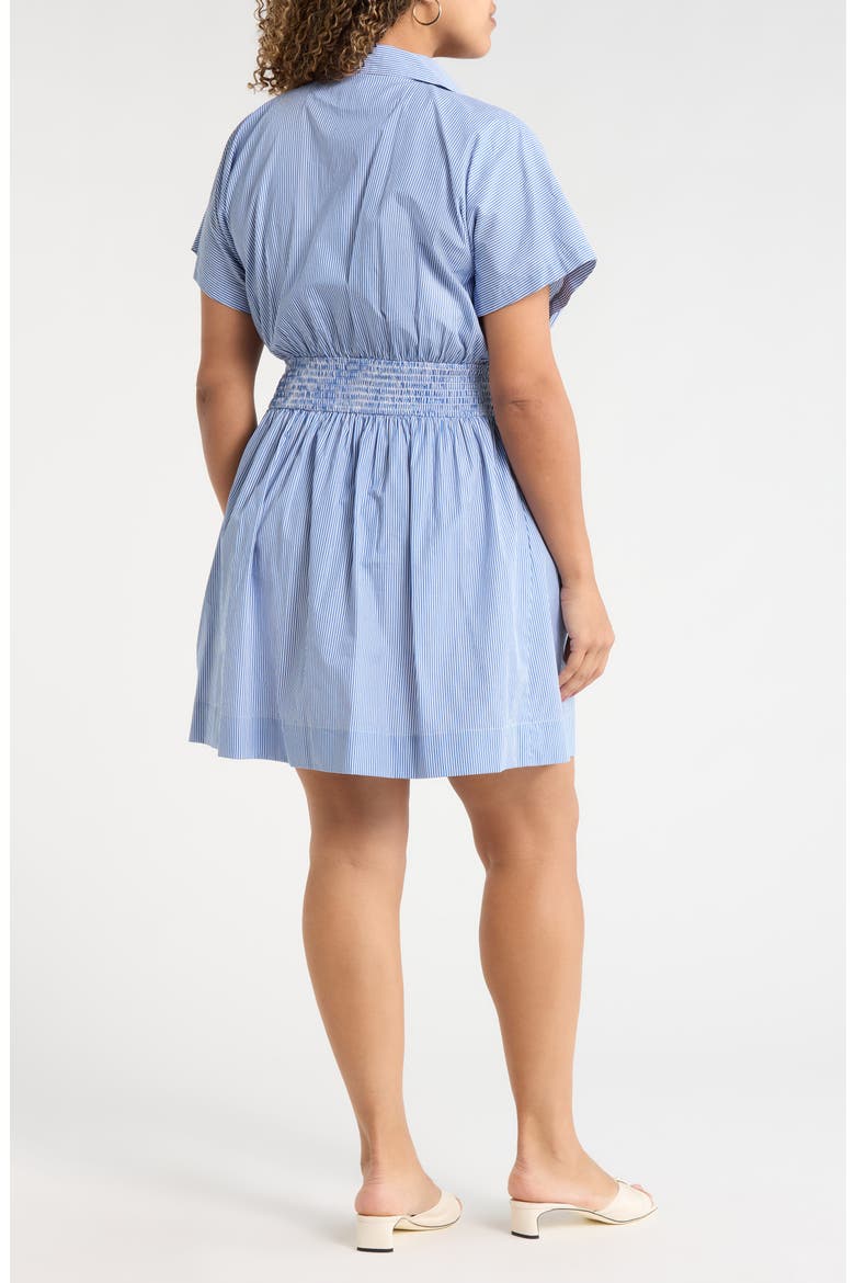 Pleated Dolman Sleeve Cotton Minidress, Alternate, color, BLUE-WHITE