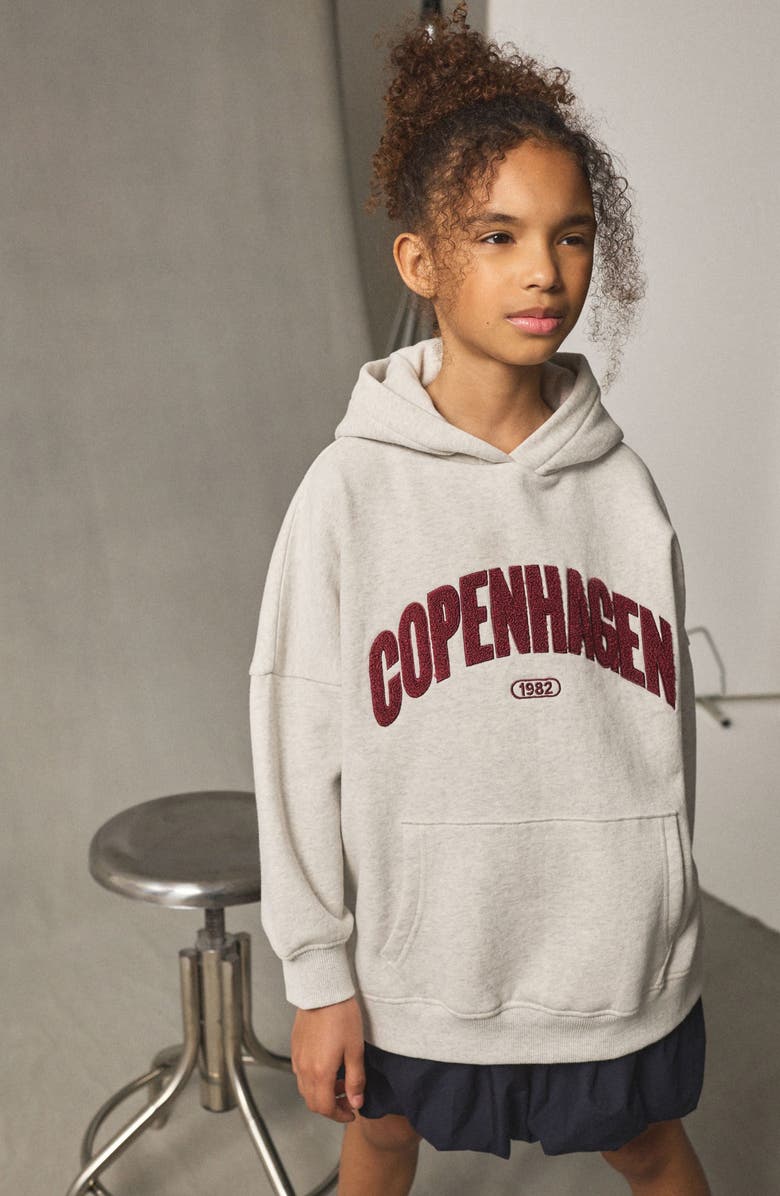 NEXT Kids' Copenhagen Cotton Blend Hoodie, Alternate, color, Grey