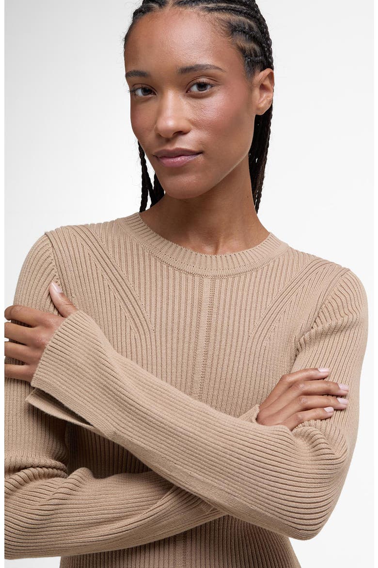 Anastasia Directional Rib Long Sleeve Cotton Sweater Dress, Alternate, color, PALE CAMEL