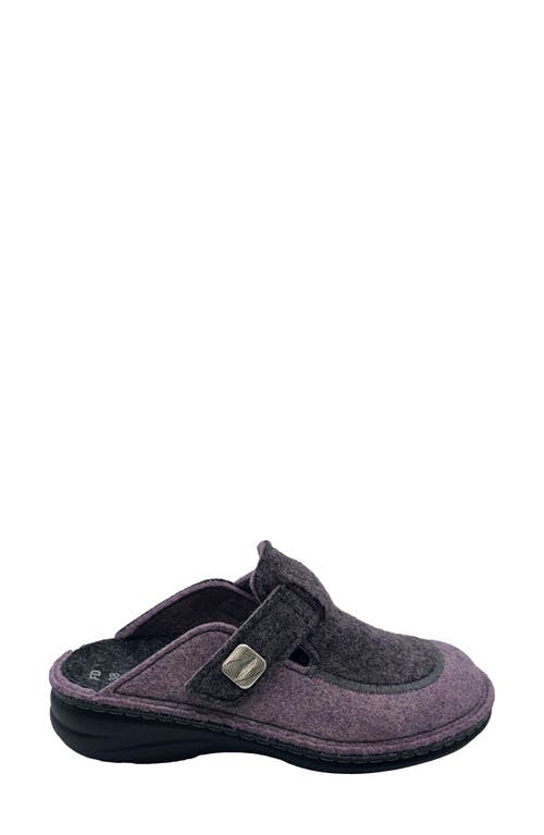 FINN COMFORT FINN COMFORT ANTHOLZ WOOL CLOG