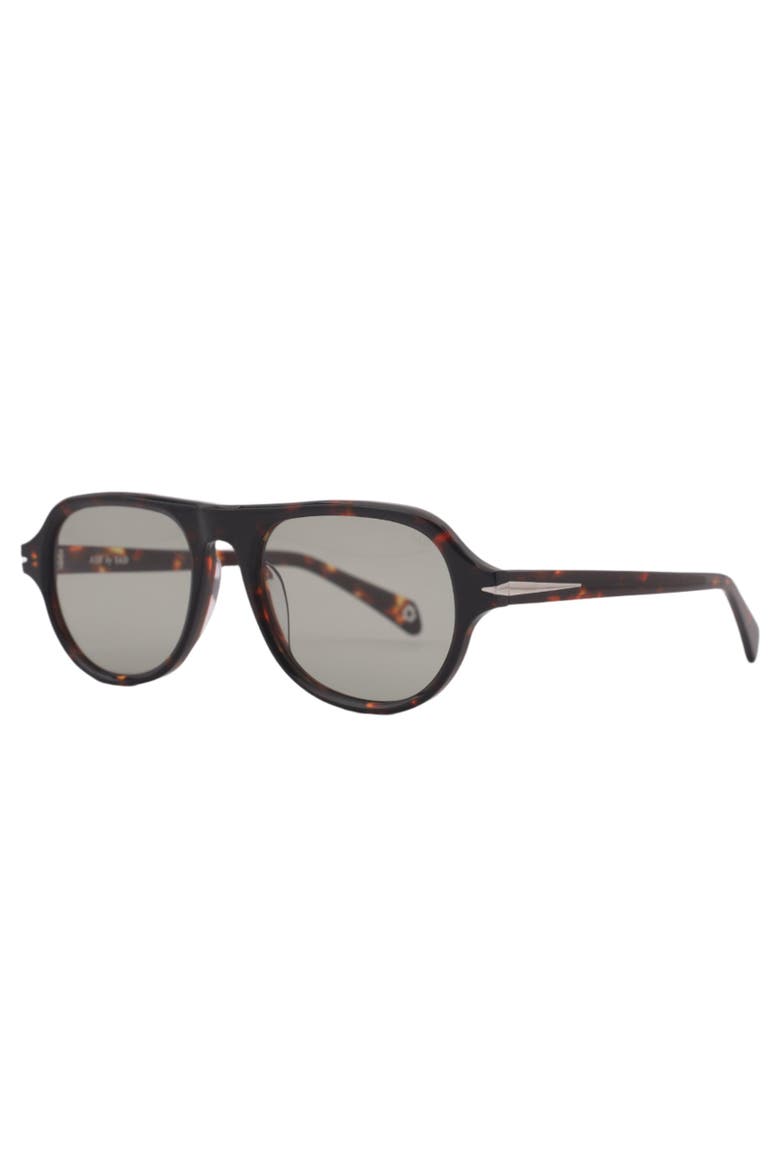 Ash Sunglasses, Alternate, color, Tortoise - Tinted Olive