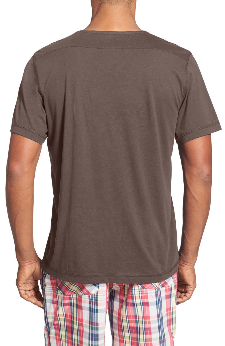 Daniel Buchler V-Neck Peruvian Pima Cotton T-Shirt, Alternate, color, 