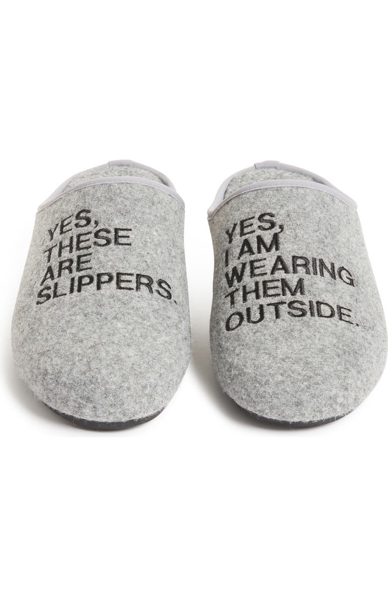 INTENTIONALLY BLANK No Shame Slipper, Alternate, color,