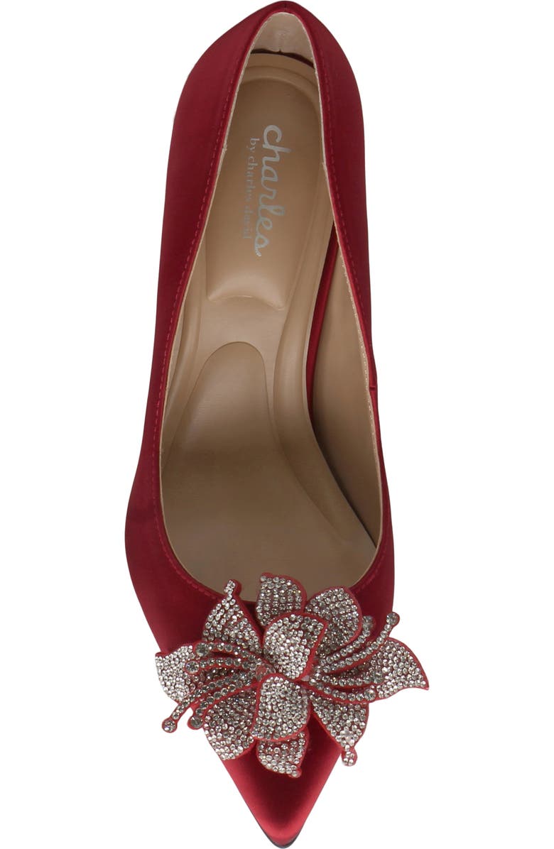 Charles by Charles David Rahm Pointed Toe Pump, Alternate, color, Red