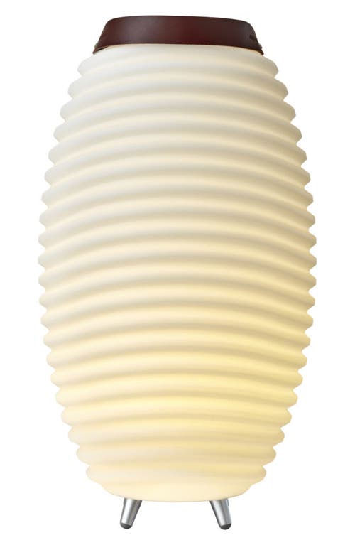 Adesso Lighting Synergy 50-inch Floor Lamp