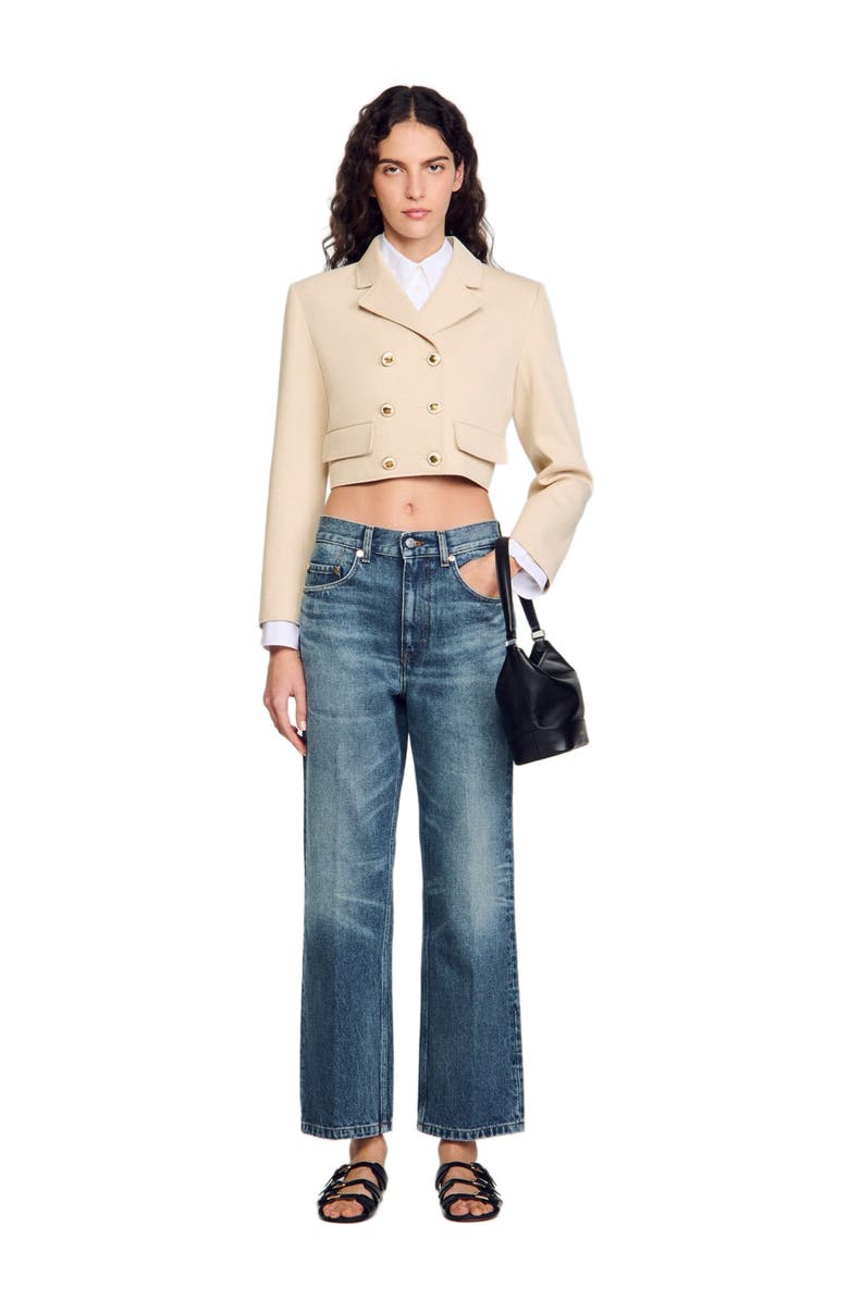 SANDRO Cropped buttoned jacket, Alternate, color, 