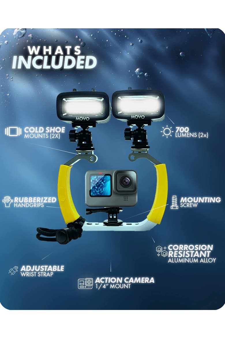 DiveRig3 Diving Rig Bundle with 2 Waterproof LED Lights - Compatible with GoPro HERO Series and DJI Osmo Action Cam, Alternate, color, Black