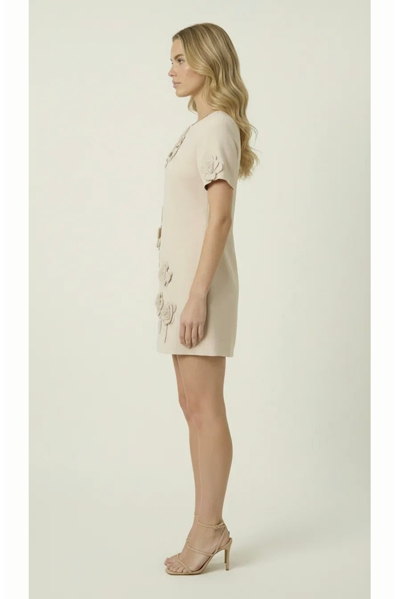 Floral Appliqué Mini Shift Dress, Alternate, color, Pale Beige