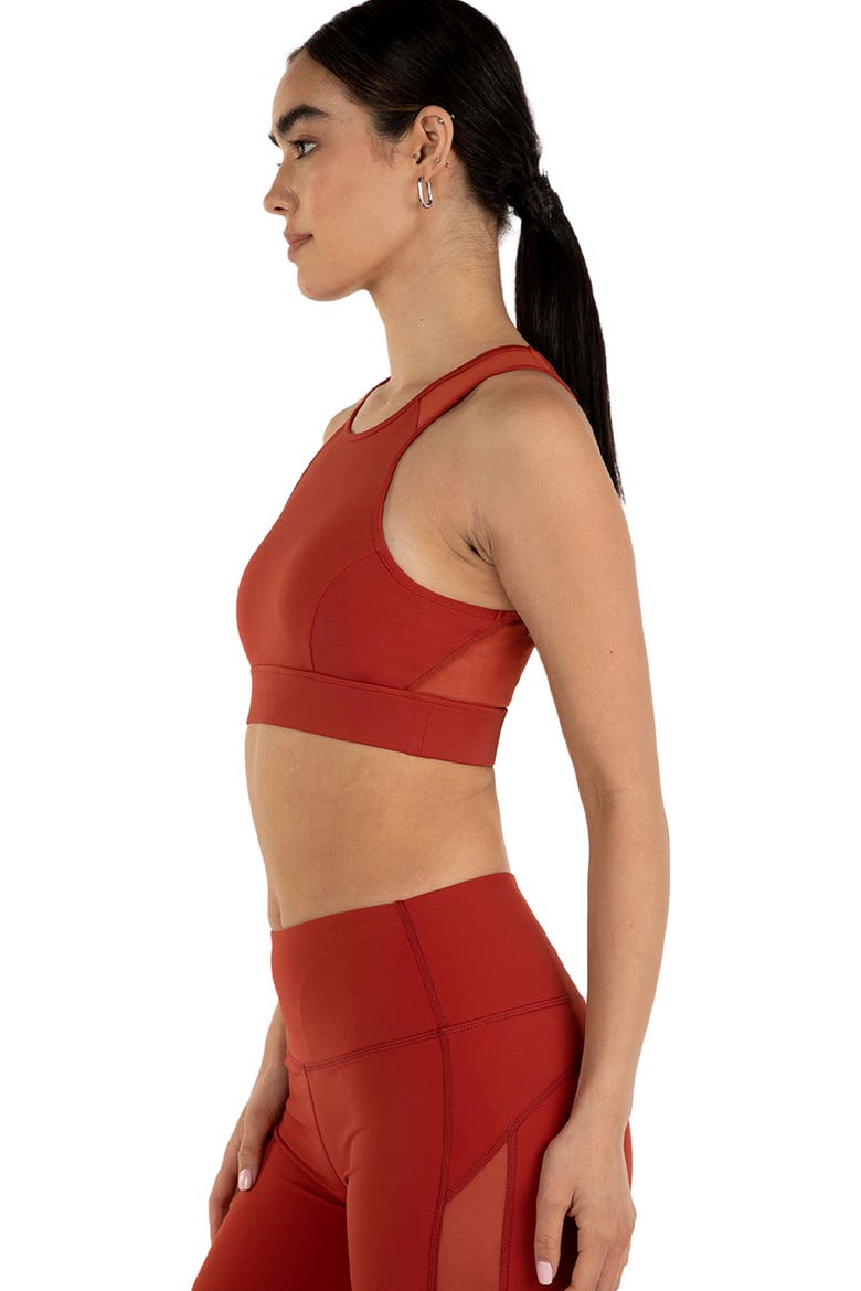 Venti Mesh Longline Silkiflex Longline Bra, Alternate, color, Mars Red