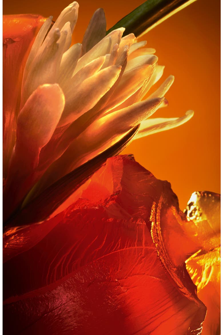 Ambre Fétiche Eau de Parfum, Alternate, color, NO COLOR