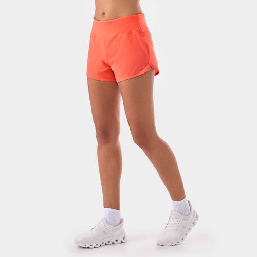 Tavi Sport Short In Animal Print