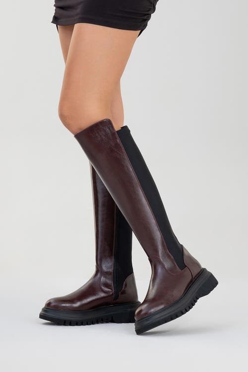Prologue Shoes Shadow Knee High Boot In Burgundy