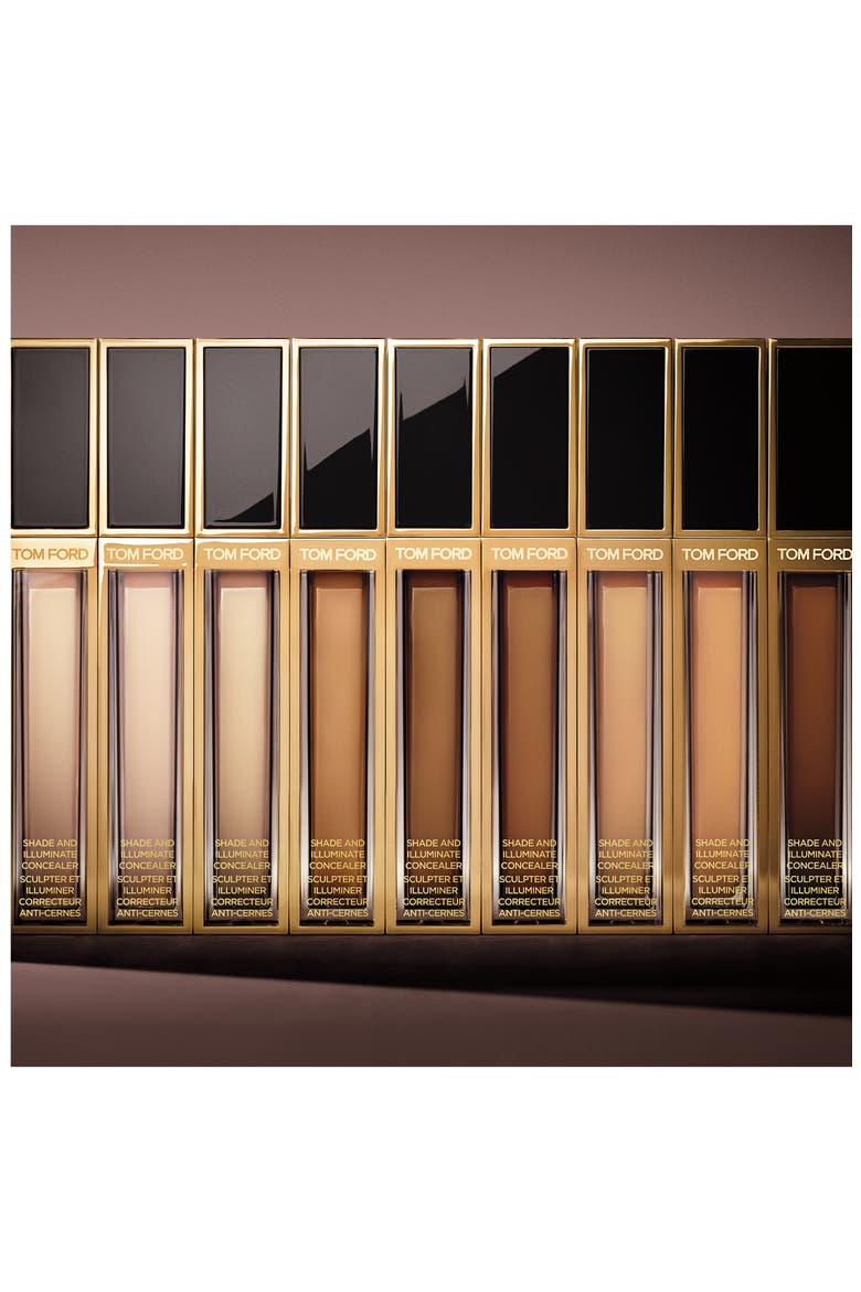 Shade & Illuminate Concealer, Alternate, color, 2W1 TAUPE