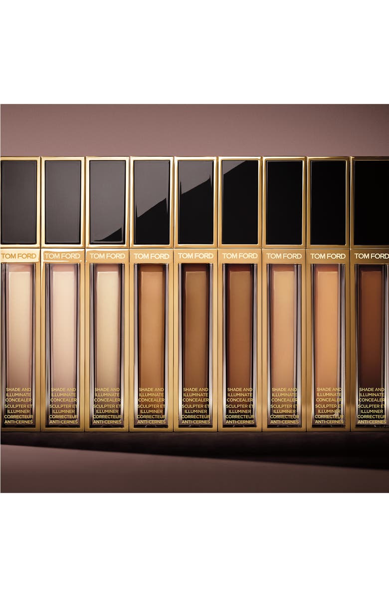 Shade & Illuminate Concealer
