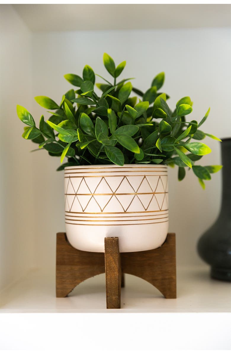 FLORA BUNDA 12" Tea Plant in 5" Geo Ceramic Footed Pot, Alternate, color, 