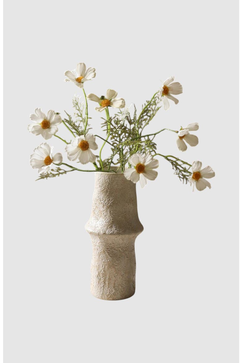 White Cosmo Daisy Flower, Alternate, color, White