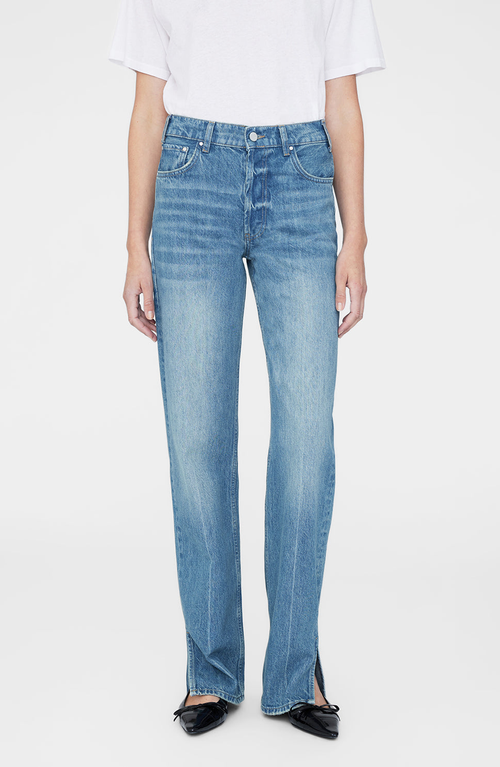 Anine Bing Roy Jean In Blue
