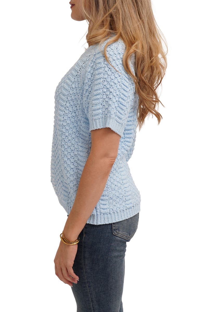 CYRUS Short Sleeve Textured Crewneck Sweater, Alternate, color, Ice Sky