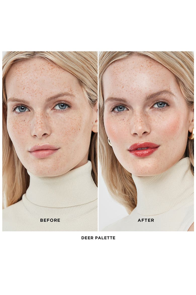 Ambient Lighting Edit Unlocked Face Palette, Alternate, color, DEER