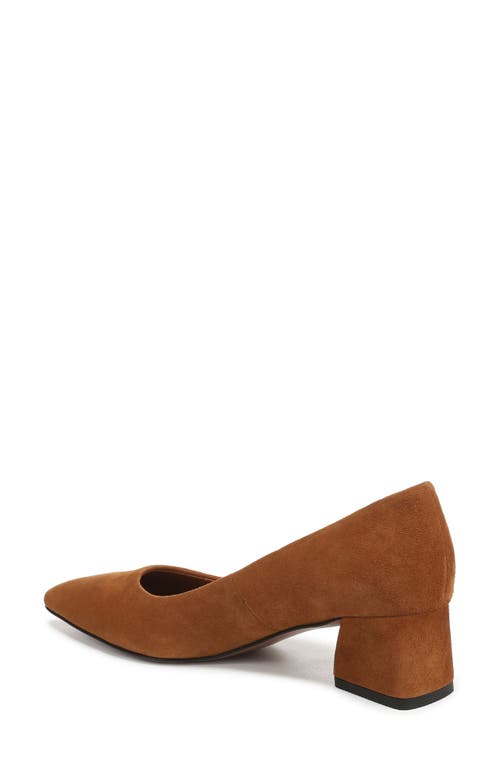 Franco Sarto Racer Pointed Toe Pump In Brown