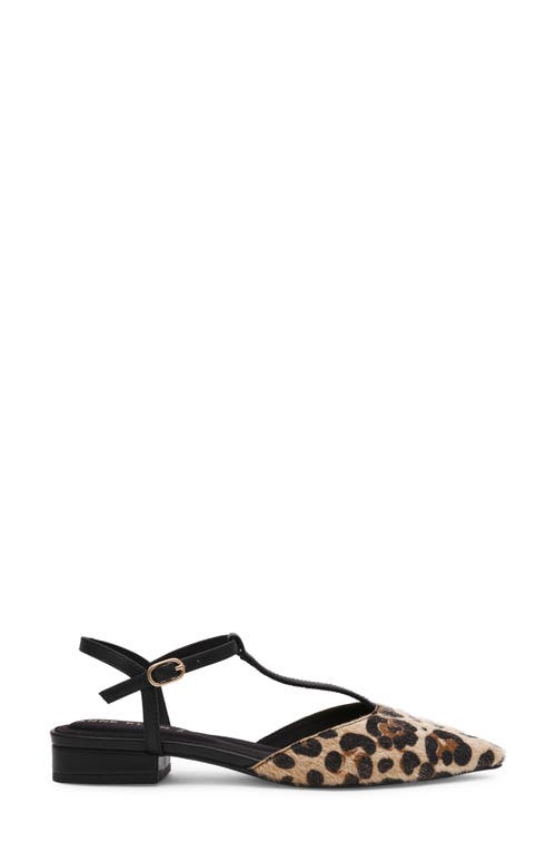 Anne Klein Emily Ankle Strap Pointed Toe Flat In Brown