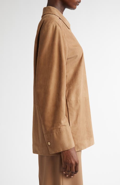 Max Mara Fresia Suede Shirt Jacket In Camel