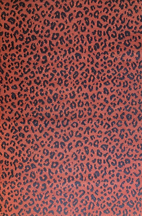 Leopard Rug
