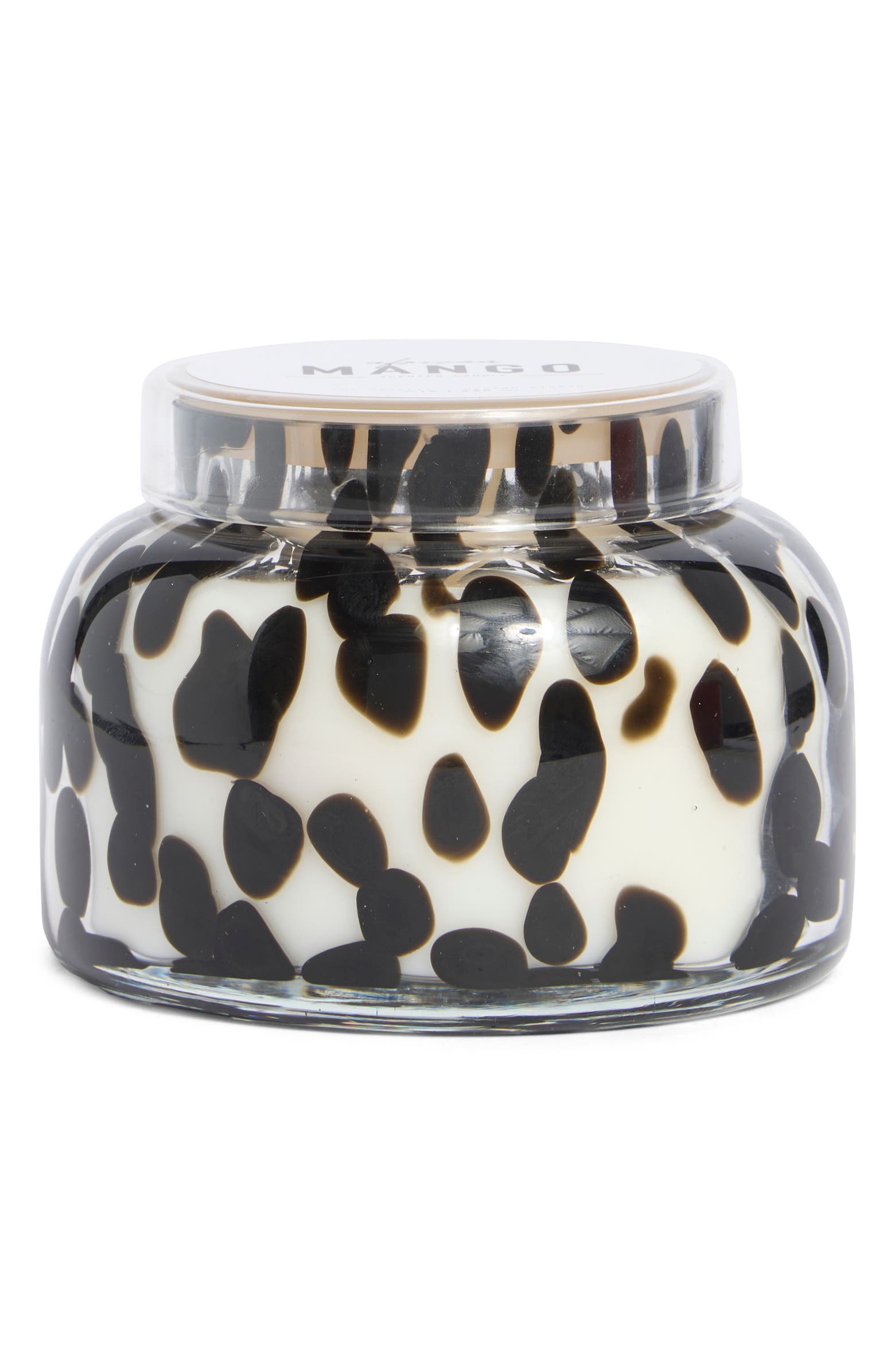PORTOFINO CANDLES Tortoise Garden Jar Candle | Nordstromrack