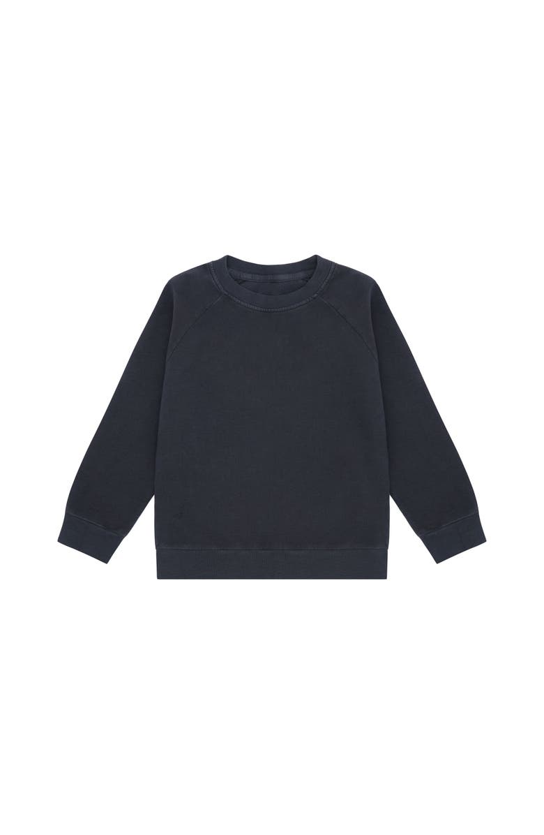 Vild House of Little Organic Cotton Pullover, Main, color, Stone Blue-Palmetto Plant Dye