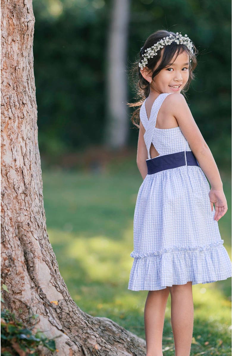 Hope & Henry Girls' Organic Cross Back Party Dress, Toddler, Alternate, color, Classic Blue Gingham