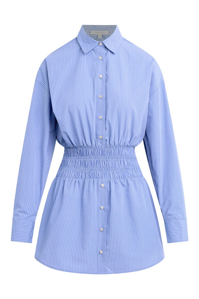The Waist Not Mini Shirtdress, Alternate, color, BLUE/ WHITE STRIPE