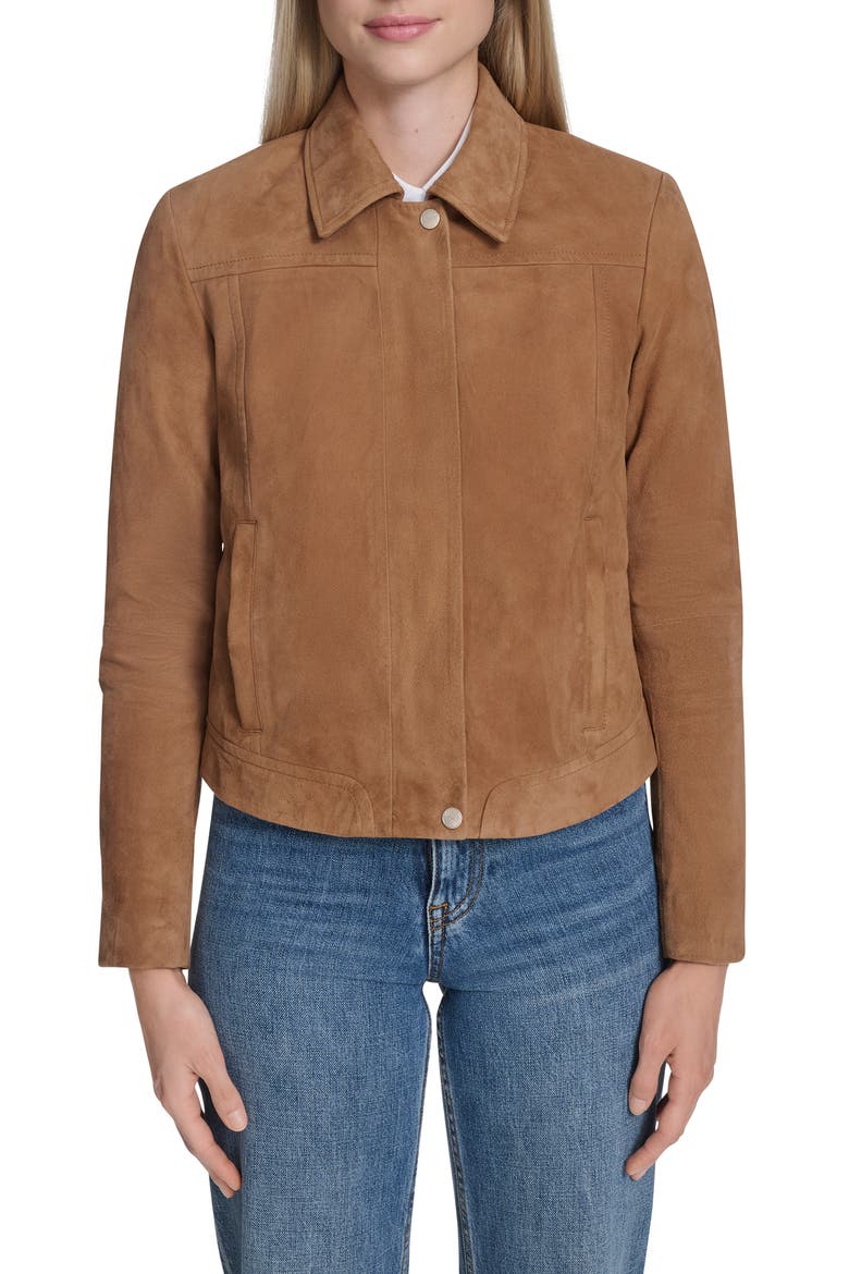 Suede Jacket, Main, color, HAZLENUT