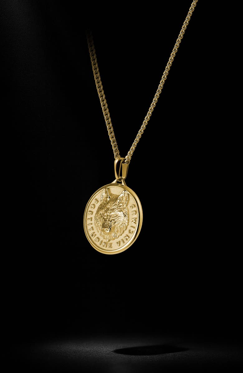 Vincero Wolf Medallion Pendant Necklace, Alternate, color, Gold
