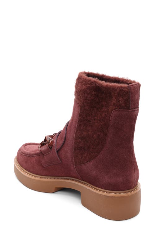 Sanctuary Marley Bit Chelsea Boot In Brown