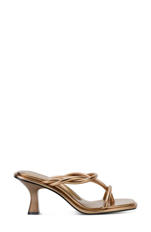 Shop Dkny Rabun Flip Flop In Bronze