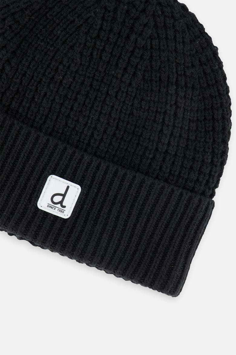 Winter Rolled Cuff Ribbed Fleece Lined Knit Hat, Alternate, color, Noir